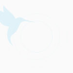 Lorem Ipsum